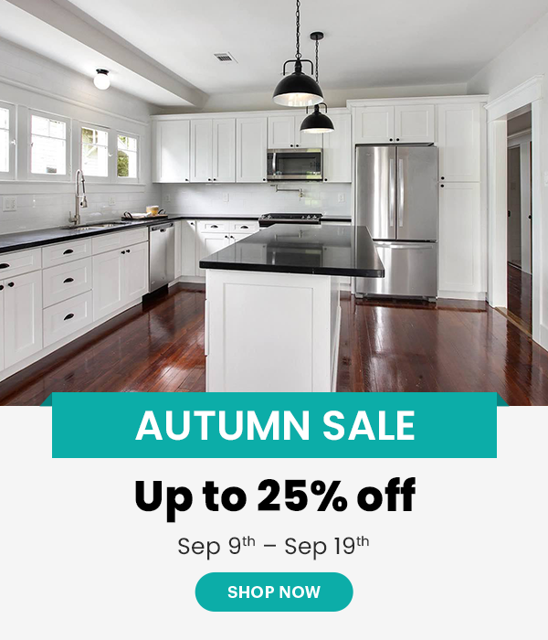 Super Savings on RTA Cabinets with Lightning-Fast Delivery by Cabinet Distribution